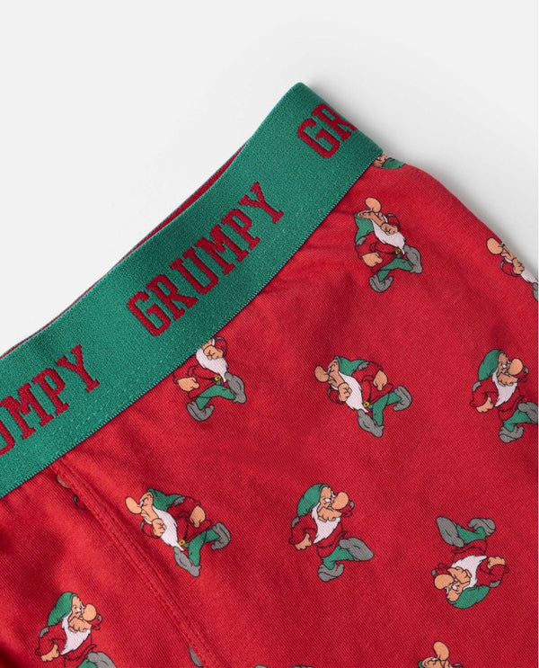 DISNEY BOXER UOMO "BRONTOLO"